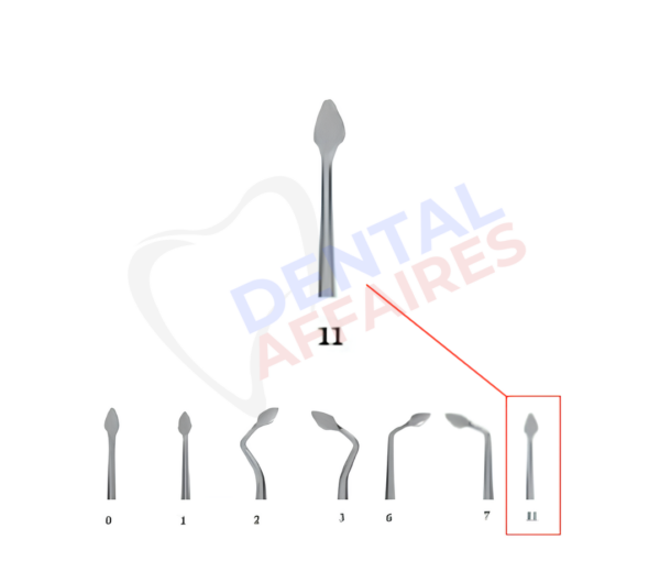 Lame amovible n°11 syndesmotome "Dr Bernard" (235.11) - Acteon